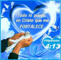 /album/el-buen-samaritano-elohim/a576435-405399089481556-681425402-n-jpg/