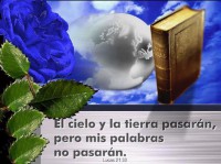 /album/el-buen-samaritano-elohim/a149468-399654716722660-966272060-n-jpg/