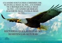 /album/el-buen-samaritano-elohim/a524678-566993459988784-1060950234-n-jpg/