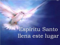 /album/el-buen-samaritano-elohim/a535703-408737889147676-1313143412-n-jpg/