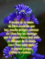 /album/el-buen-samaritano-elohim/a10390954-765336806821114-4795703075177547782-n-jpg/